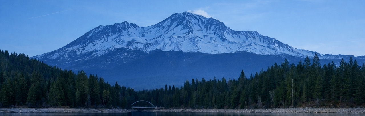 私たちについて