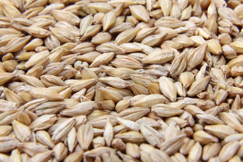  LPSによる内側からのサポート